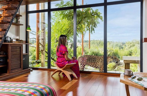 Crecy-en-Brie Hotel | Les Lodges - Parrot World