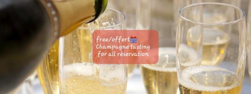 Epernay Apartamento | Les Loges Du Théatre 160m2 PRIVÉ 14 personnes MAX tout équipé a 200m de l'AVENUE DE CHAMPAGNE et toutes commodités DEGUSTATION CHAMPAGNE OFFERTE jacuzzi sauna jeux velos EMPLACEMENT EXCEPTIONNEL et CHIC