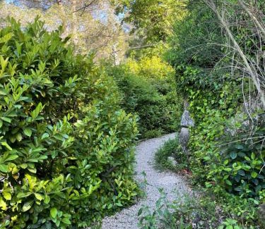 Auriol Cama Y Desayuno | Les Loriots - Studio indépendant, refuge nature entre Aix et Marseille