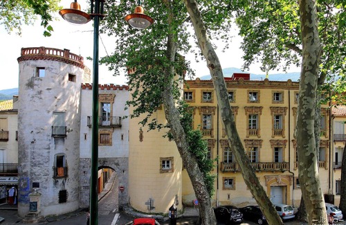 Ceret Apartamento | LES PAPILLONS EN MEDITERRANNE