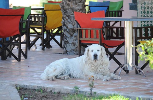 Ouled Moumen Hotel | Les Riads de Jouvence