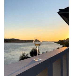 Saint-Mathurin-sur-Loire Apartamento | Les sternes de st Mathurin sur Loire , terrasse sur la Loire