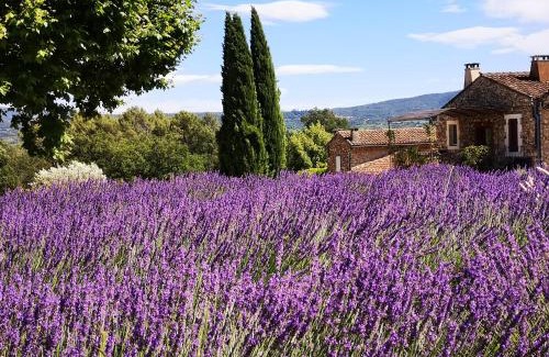 Goult Casa | Les Vendangeurs, gîte au milieu des vignes face au Luberon