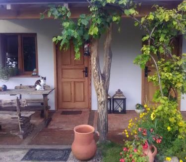 Ostrow Wielki Cama Y Desayuno | Lesny Zakatek B&B koło Ostrody