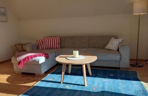 Busumer Deichhausen Apartamento | Leuchtturm