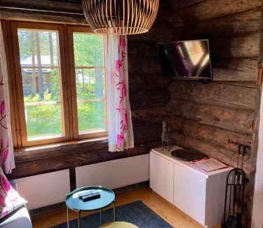 Sirkka Apartamento | Levin Lumo