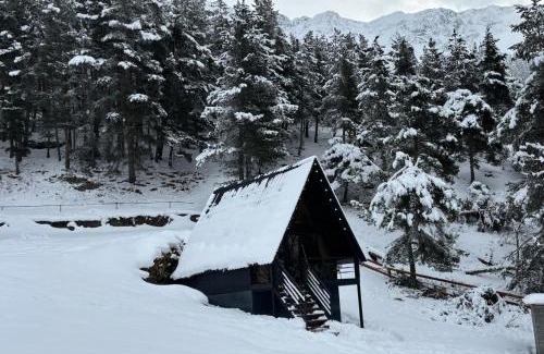 Stepantsminda Apartamento | Libertà Cottage Kazbegi