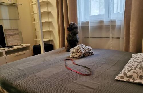 Lagymanyos Apartamento | Liberty Bridge Zenta