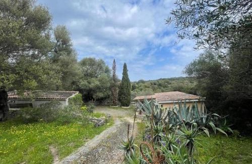 Saint-Florent Casa | Libres 5 Chambres à Saint Florent Haute Corse Prix à débattre