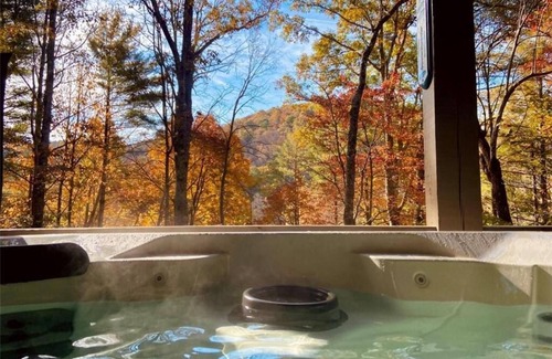Suches Cabina | Life is a HOOT in the mountains of Suches