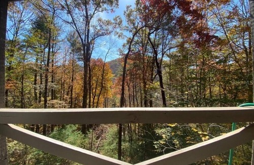 Suches Cabina | Life is a HOOT in the mountains of Suches