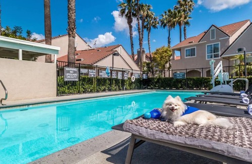 Downtown Village Casa | Life is Better at the Beach! Spacious Accommodation, Outdoor Pool, Pets Allowed!