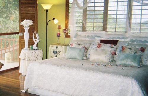 Naranjito Casa | Light of Dawn