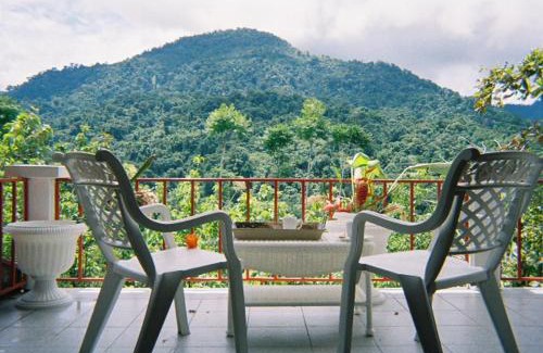 Naranjito Casa | Light of Dawn