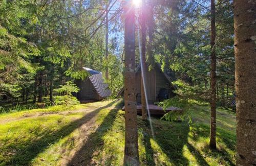 Kadrina Parish Otro | Liivakõrtsi kämping