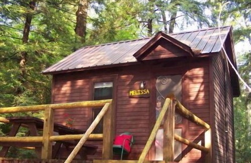 Saranac Lake Cabina | "¡Como una casa del árbol!" Adirondack Se aceptan mascotas en la cabina Adecuado para 2 | Acceso al lago