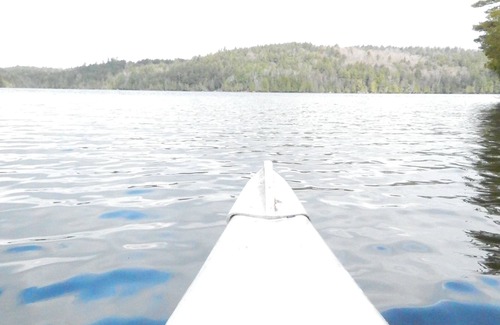 Saranac Lake Cabina | "¡Como una casa del árbol!" Adirondack Se aceptan mascotas en la cabina Adecuado para 2 | Acceso al lago