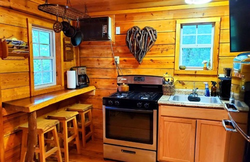 Helen Casa | Lil' Log at Hearthstone Cabins and Camping - Pet Friendly