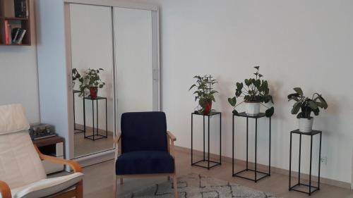 Ferencvaros Apartamento | LILIOM Apartment with FREE PARKING space