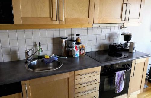 Lillestrom Apartamento | Lillestrøm Central City Apartment Fully Furnished