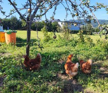 Kirchberg am Wechsel Cabina | Lilly