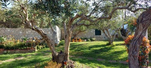 Rethymno Casa | Lily's Cottage