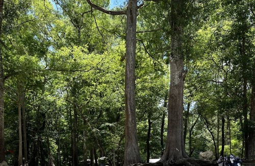 Branford Alquiler De RV | Lime Rock Landing Cozy Camping, Private Beach located on the Sante Fe River.