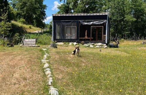Panguipulli Casa | Linda Cabaña pet friendly a orilla rio y bosque, cerca Termas