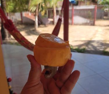 Marapanim Casa | Linda casa em marudá