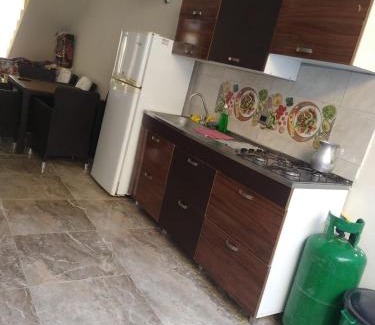 Carmen de Apicala Casa | Lindas palmas