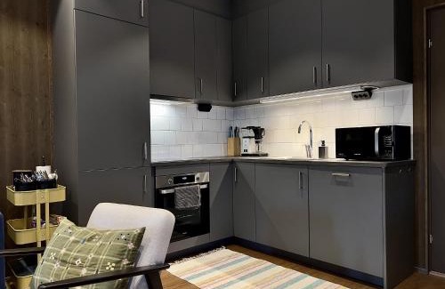Salen Apartamento | Lindvallen Ski Resort Pool and Padel - Sauna - 6 Guests