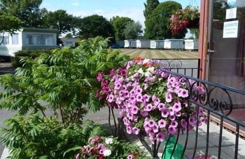 Aldwick Casa | Caravana-Estándar-Baño Privado-Linnet