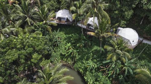 Kajarharjo Complejo | Lintang Luku Tent Resort Ijen, Banyuwangi