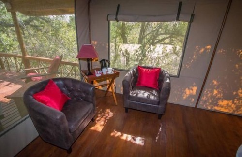 Thorny Bush Game Reserve Otro | Lion Tree Top Lodge