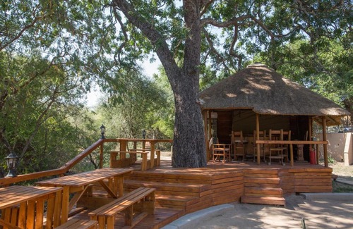 Thorny Bush Game Reserve Cabina | Lion Tree Top Lodge