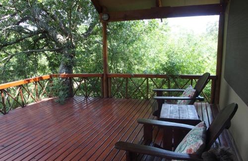 Thorny Bush Game Reserve Cabina | Lion Tree Top Lodge