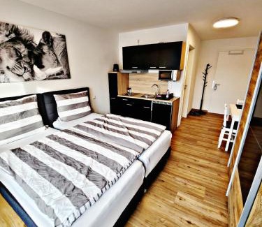 Heidenheim an der Brenz Apartamento | Lions Place Premium Apartments BUSINESS optionaler Zugang zum SPA- Bereich