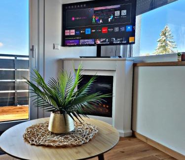 Heidenheim an der Brenz Apartamento | Lions Place Premium Apartments EXECUTIVE Luxus PENTHOUSE inklusive SPA
