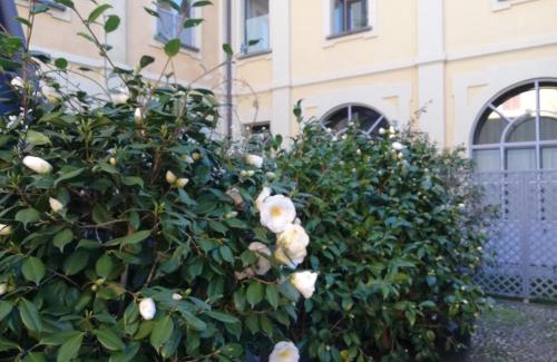 Seregno Cama Y Desayuno | Lisander B&B suite and terrace