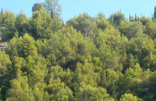 Agia Marina Casa | Lithahiro stone house