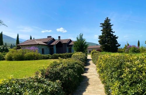 Amfikleia-Elateia Apartamento | Lithos Villas
