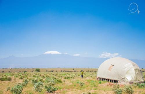 Amboseli Otro | Little Amanya Camp