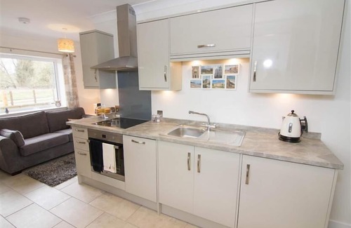 King's Lynn Casa | Un apetitoso y moderno y agradable anexo para perros en el pueblo de Roydon