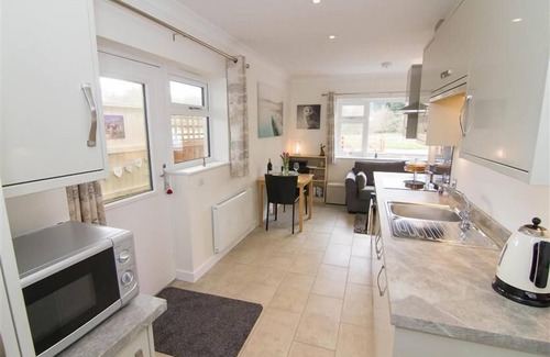 King's Lynn Casa | Un apetitoso y moderno y agradable anexo para perros en el pueblo de Roydon