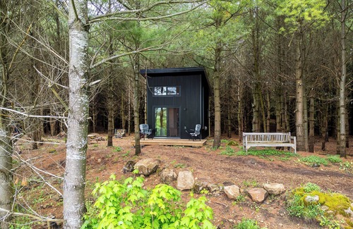 Chatsworth Cabina | Little Cabin in the Pines