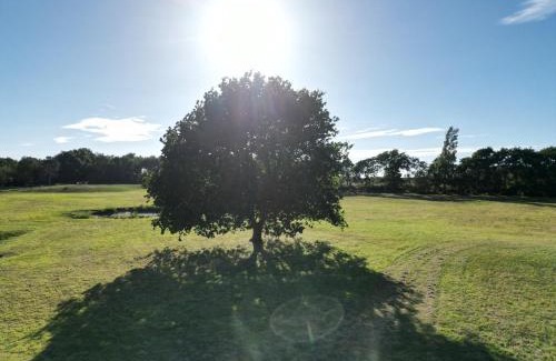 Renesse Cama Y Desayuno | Little Creek