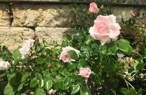 Frome Casa | Little Hideaway - Central Frome