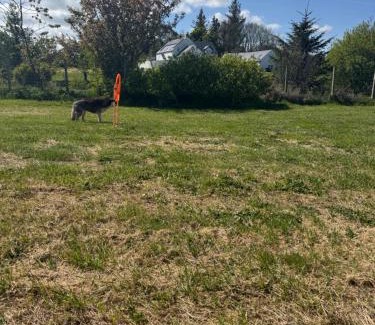 Armoy Otro | Little lake lodge faceboo