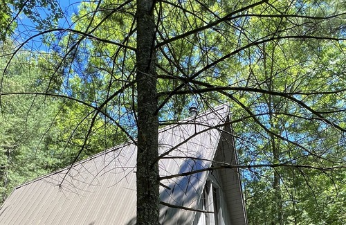 Irons Cabina | Little Manistee River Cabin