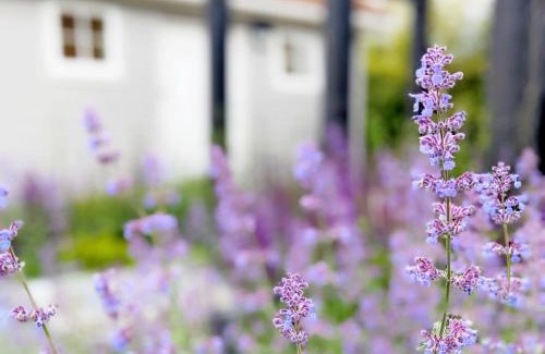 Tangmere Casa | Little Maplewood, Tangmere